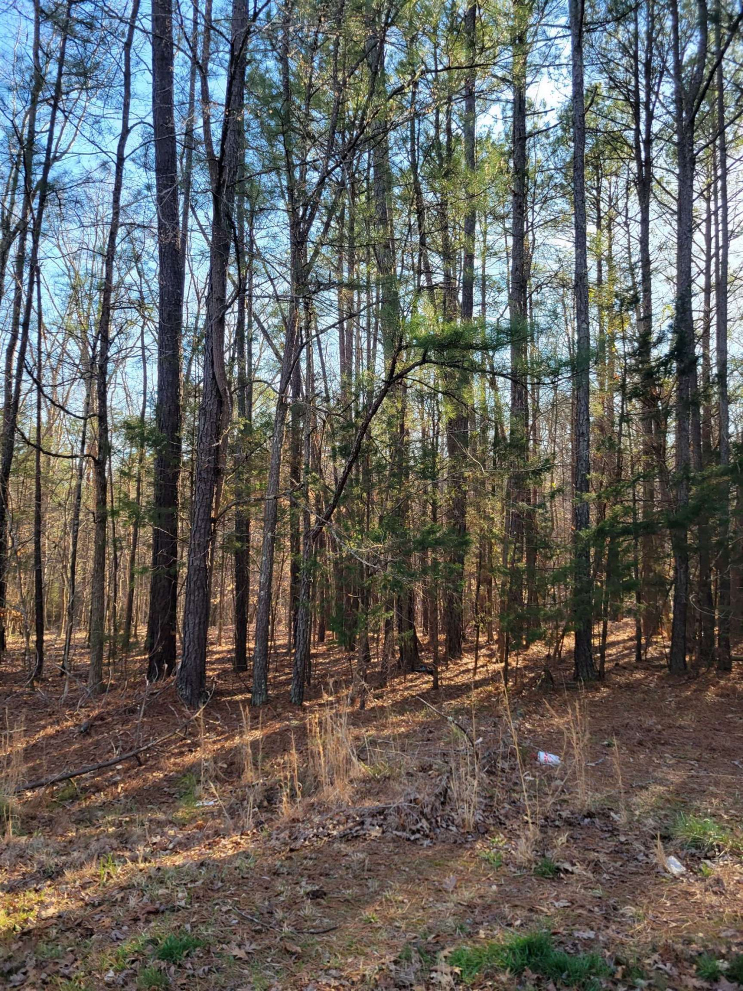 0 Evans Road Henderson, NC 27537 - Photo 3 of 5 a backyard of a house with lots of green space