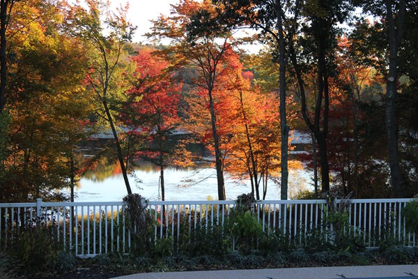 3 Clarks Hill Drive Sutton, MA 01590 - Photo 5 of 30 a view of backyard with large trees and wooden fence