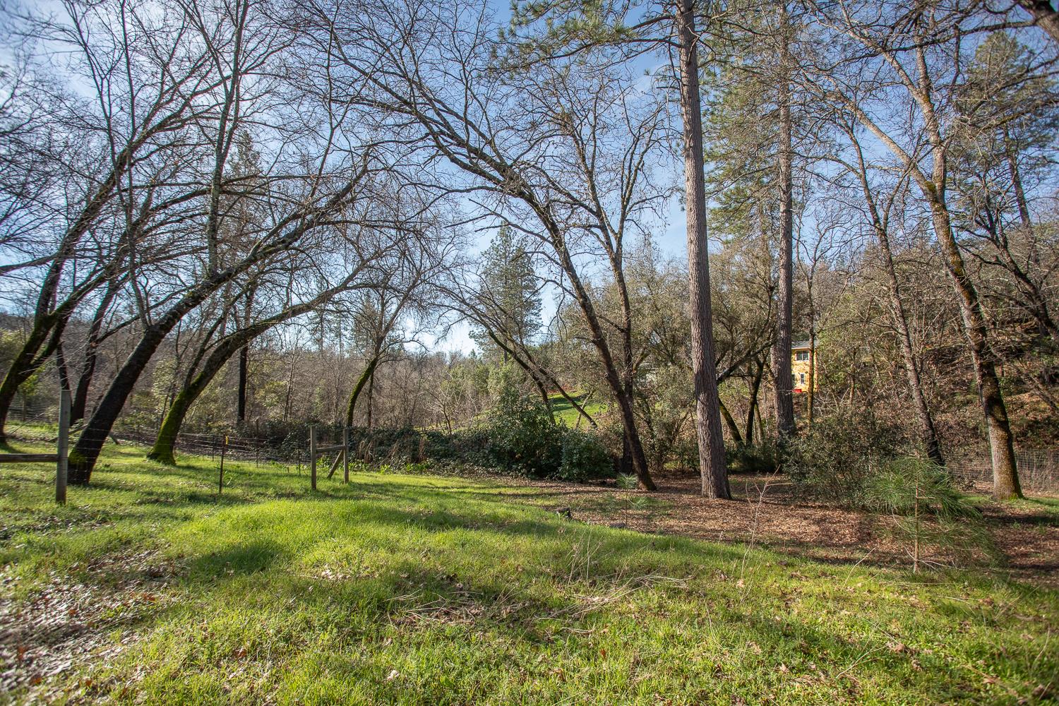10146 Frenchtown Dobbins Road Dobbins, CA 95935 - Photo 26 of 38 a view of park space
