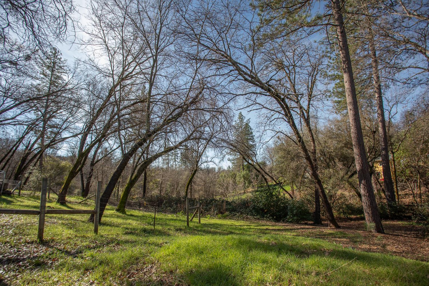10146 Frenchtown Dobbins Road Dobbins, CA 95935 - Photo 27 of 38 a backyard of a house with a large tree