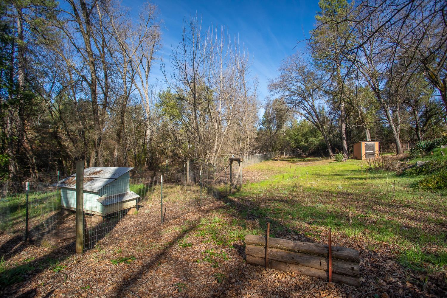 10146 Frenchtown Dobbins Road Dobbins, CA 95935 - Photo 28 of 38 a view of a garden with an outdoor seating