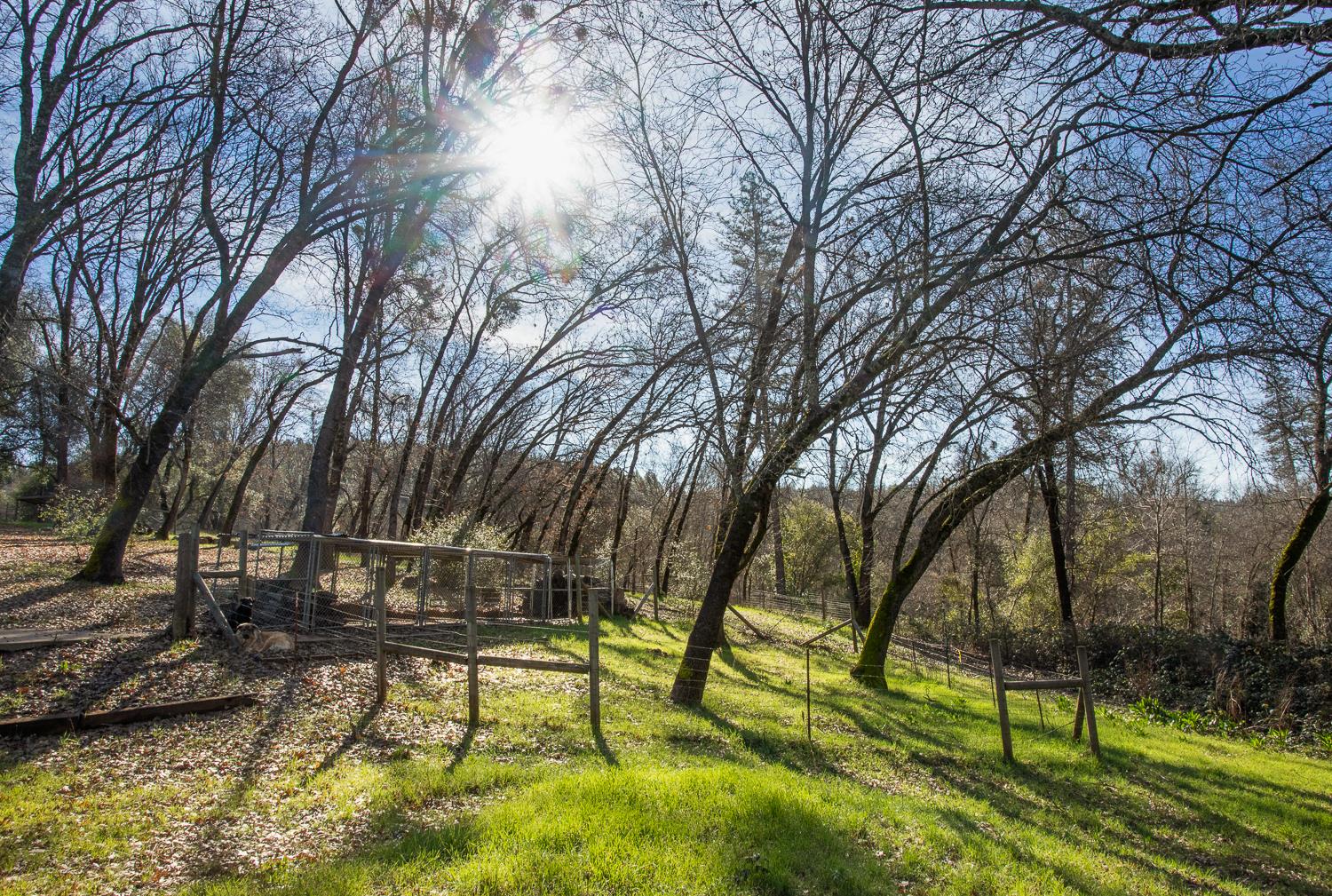 10146 Frenchtown Dobbins Road Dobbins, CA 95935 - Photo 29 of 38 a backyard of a house with table and chairs