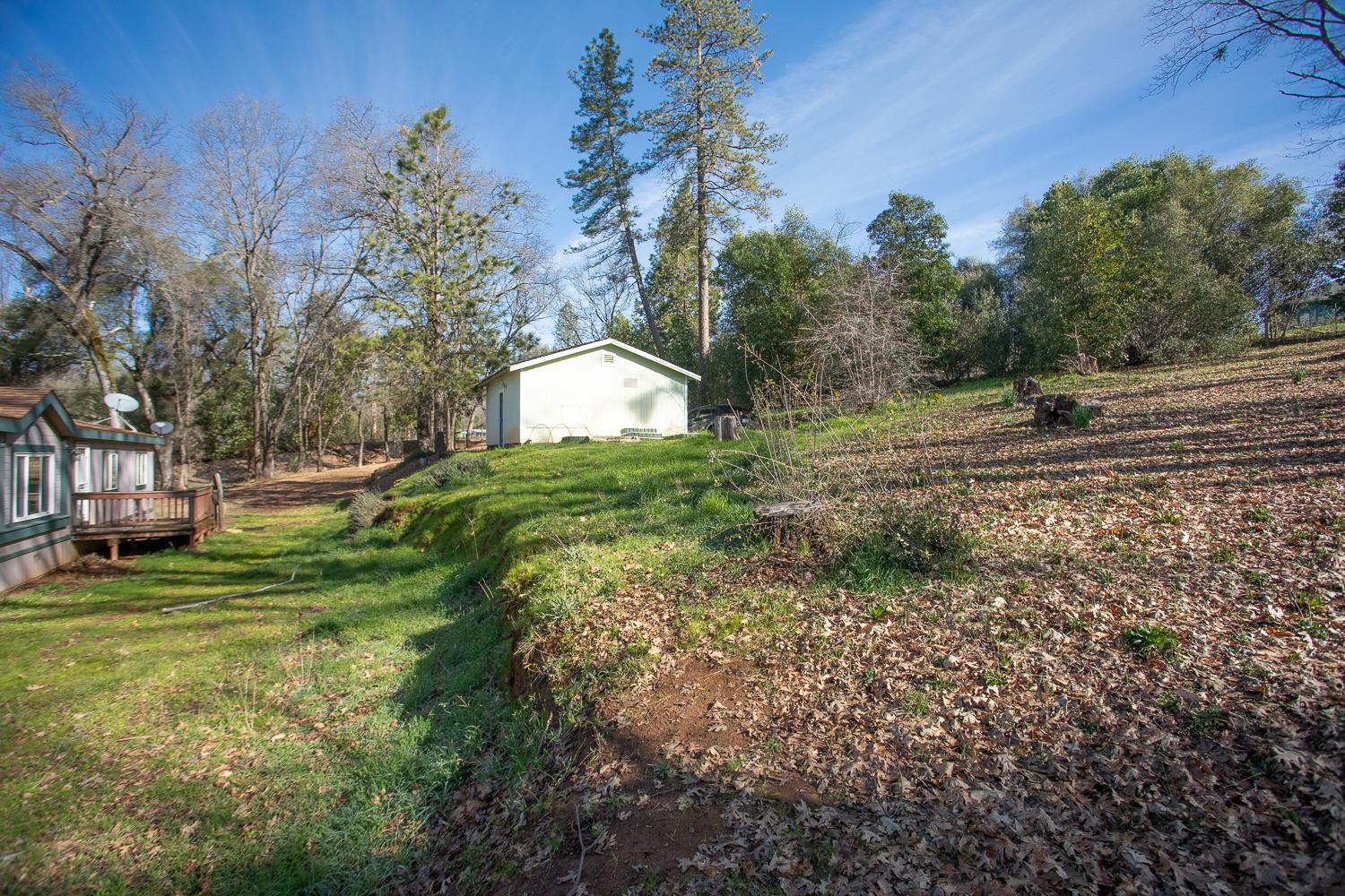 10146 Frenchtown Dobbins Road Dobbins, CA 95935 - Photo 32 of 38 a view of a house with a big yard
