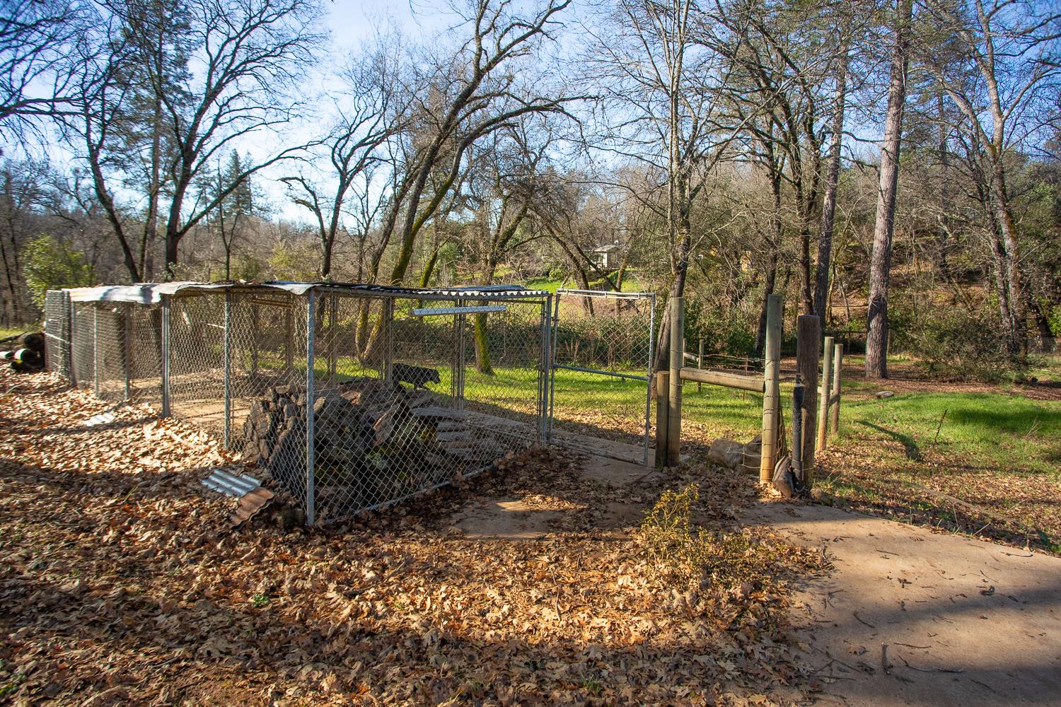 10146 Frenchtown Dobbins Road Dobbins, CA 95935 - Photo 33 of 38 a backyard of a house with lots of green space