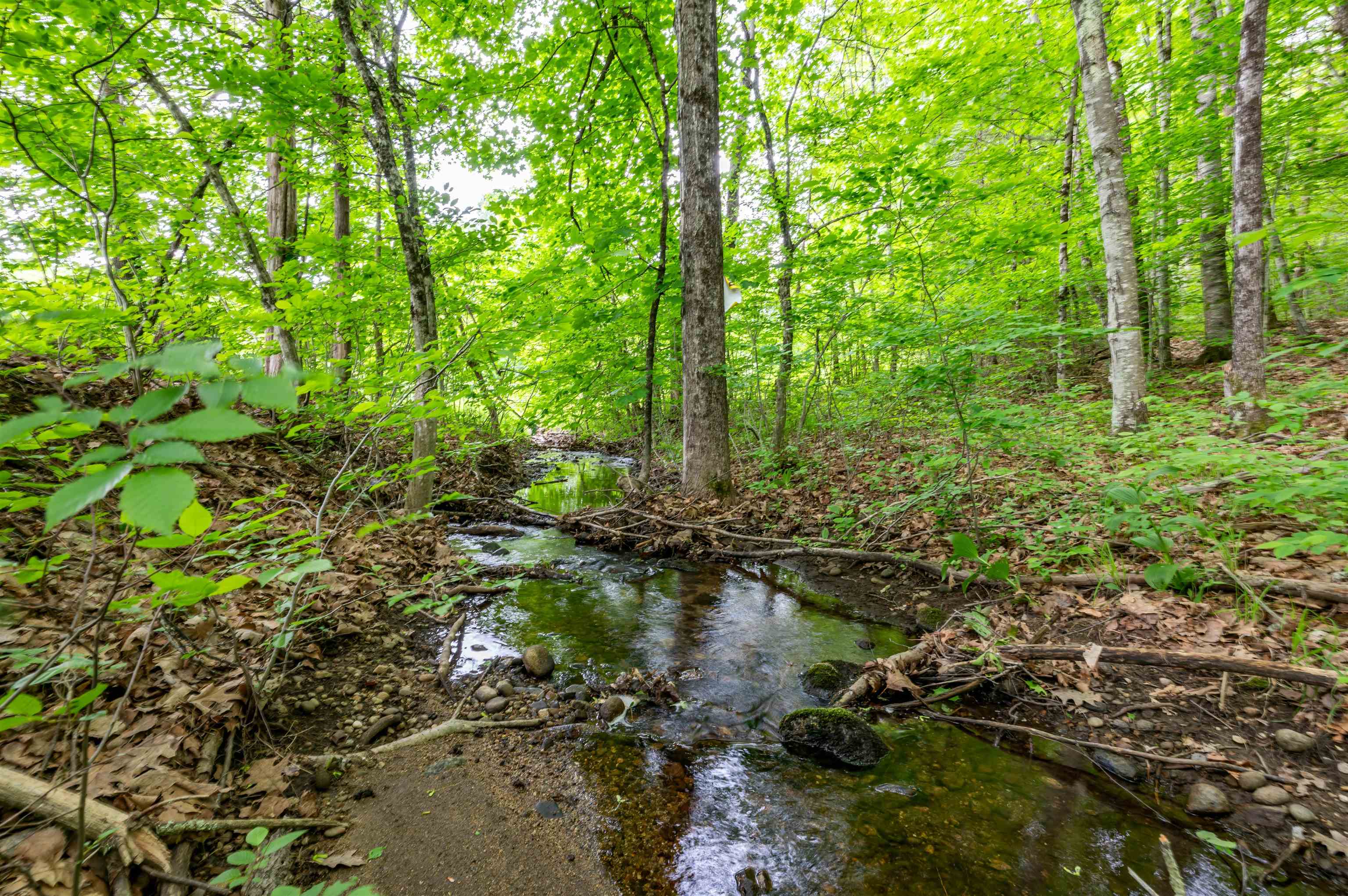 401 River Road Weare, NH 03281 - Photo 41 of 47
