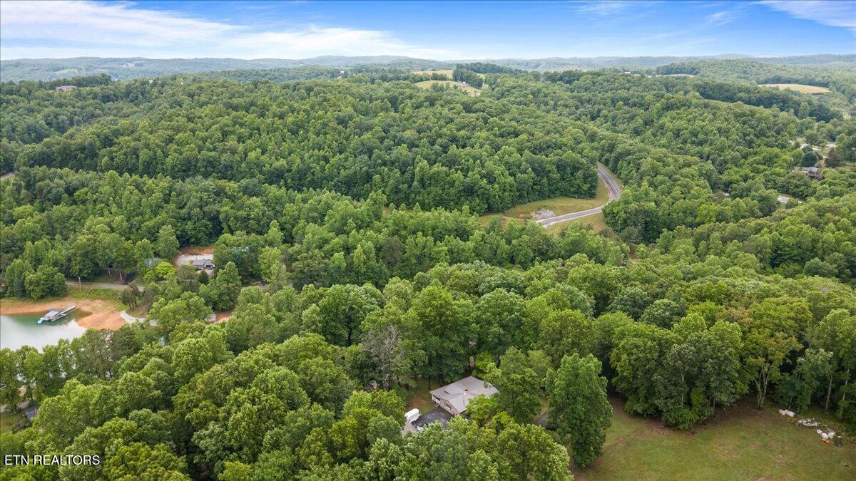 261 Rain Valley Road La Follette, TN 37766 - Photo 46 of 47 48-261 Rain Valley Rd