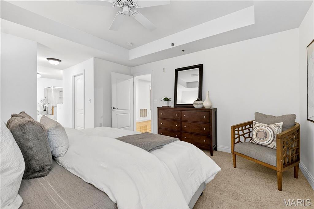 520 North And South Road, Unit 105 St. Louis, MO 63130 - Photo 19 of 31