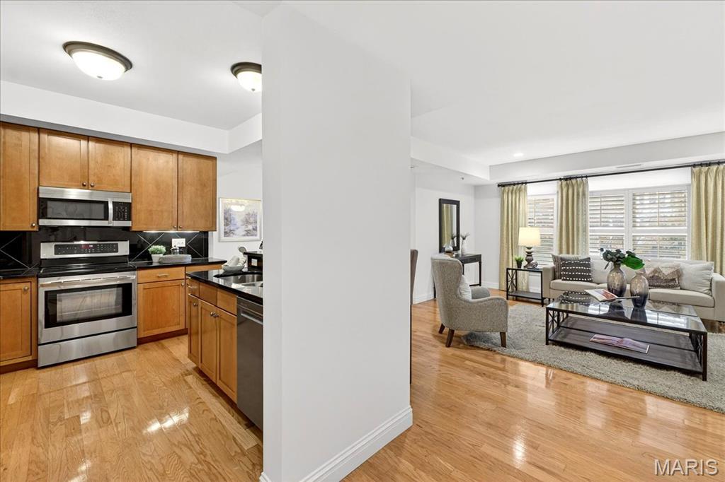 520 North And South Road, Unit 105 St. Louis, MO 63130 - Photo 5 of 31