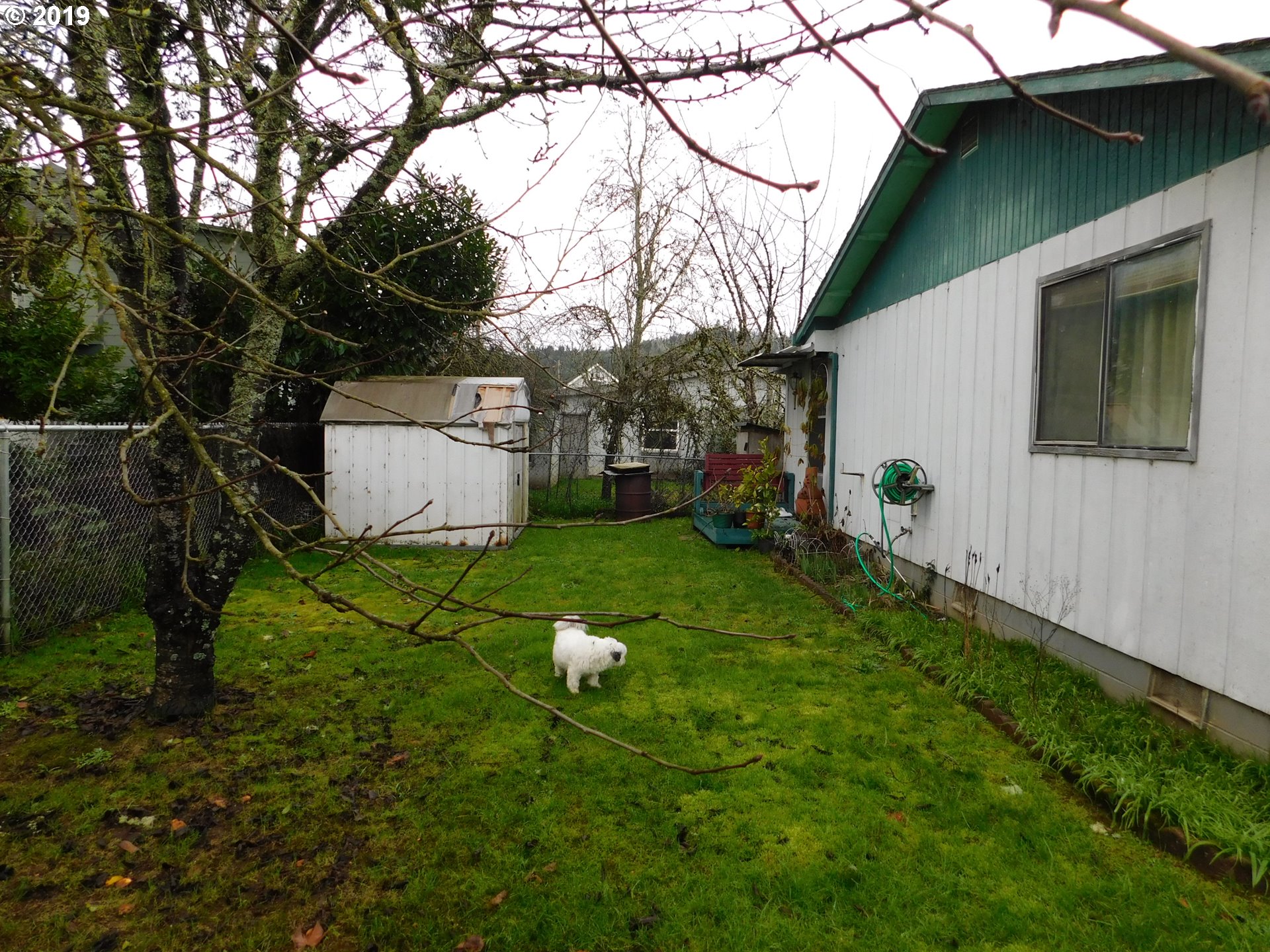 408 Alder Street Myrtle Point, OR 97458 - Photo 28 of 29 Gallery Image 28