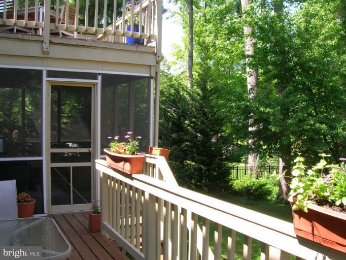 224 Cape St John Road Annapolis, MD 21401 - Photo 1 of 30 Open Deck Space
