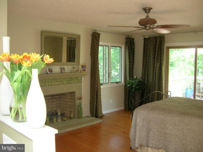 224 Cape St John Road Annapolis, MD 21401 - Photo 5 of 30 Master Bedroom with Wood-Burning Fireplace