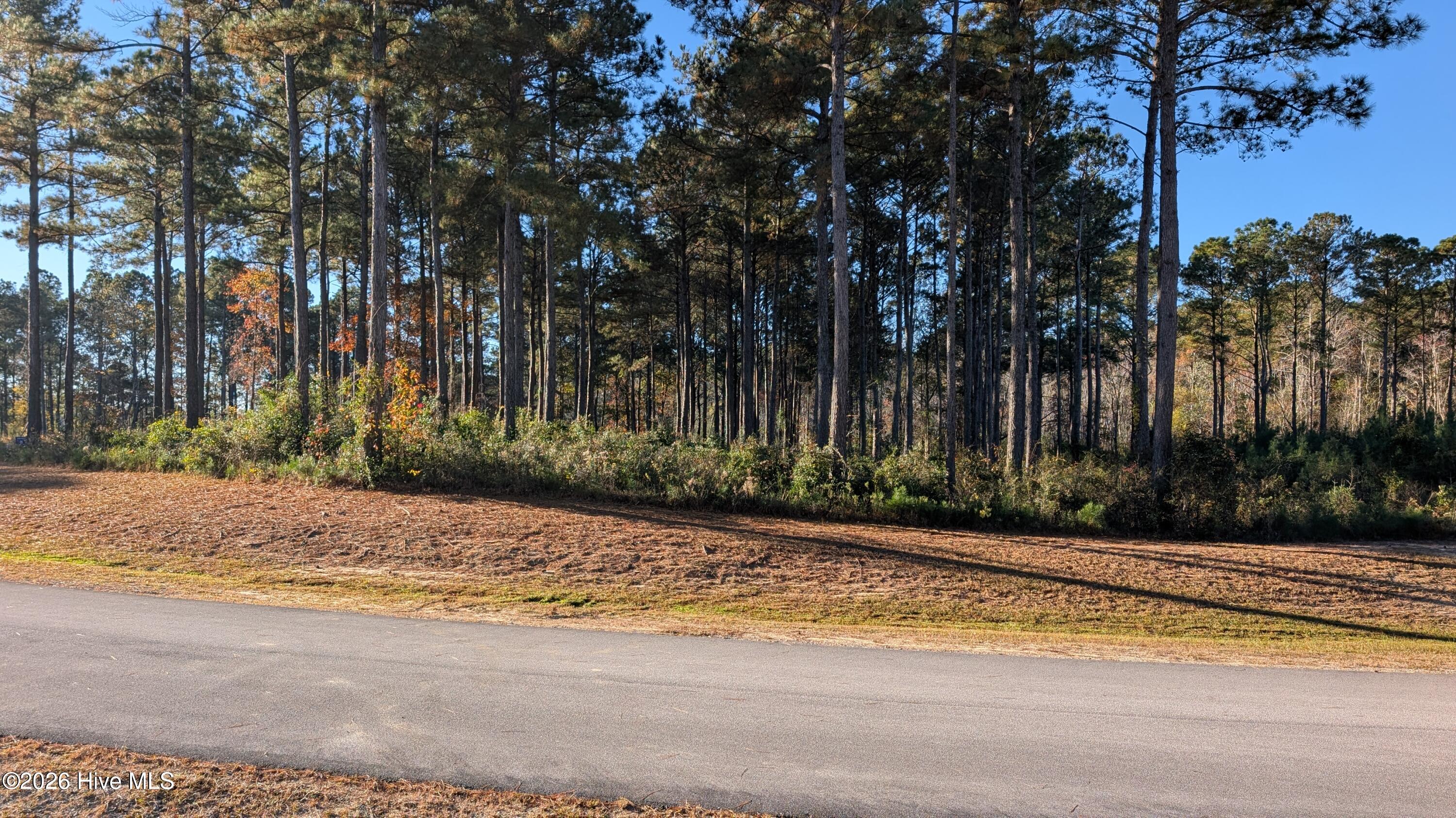 216 Alderman Landing Road Holly Ridge, NC 28445 - Photo 1 of 14 Front of lot