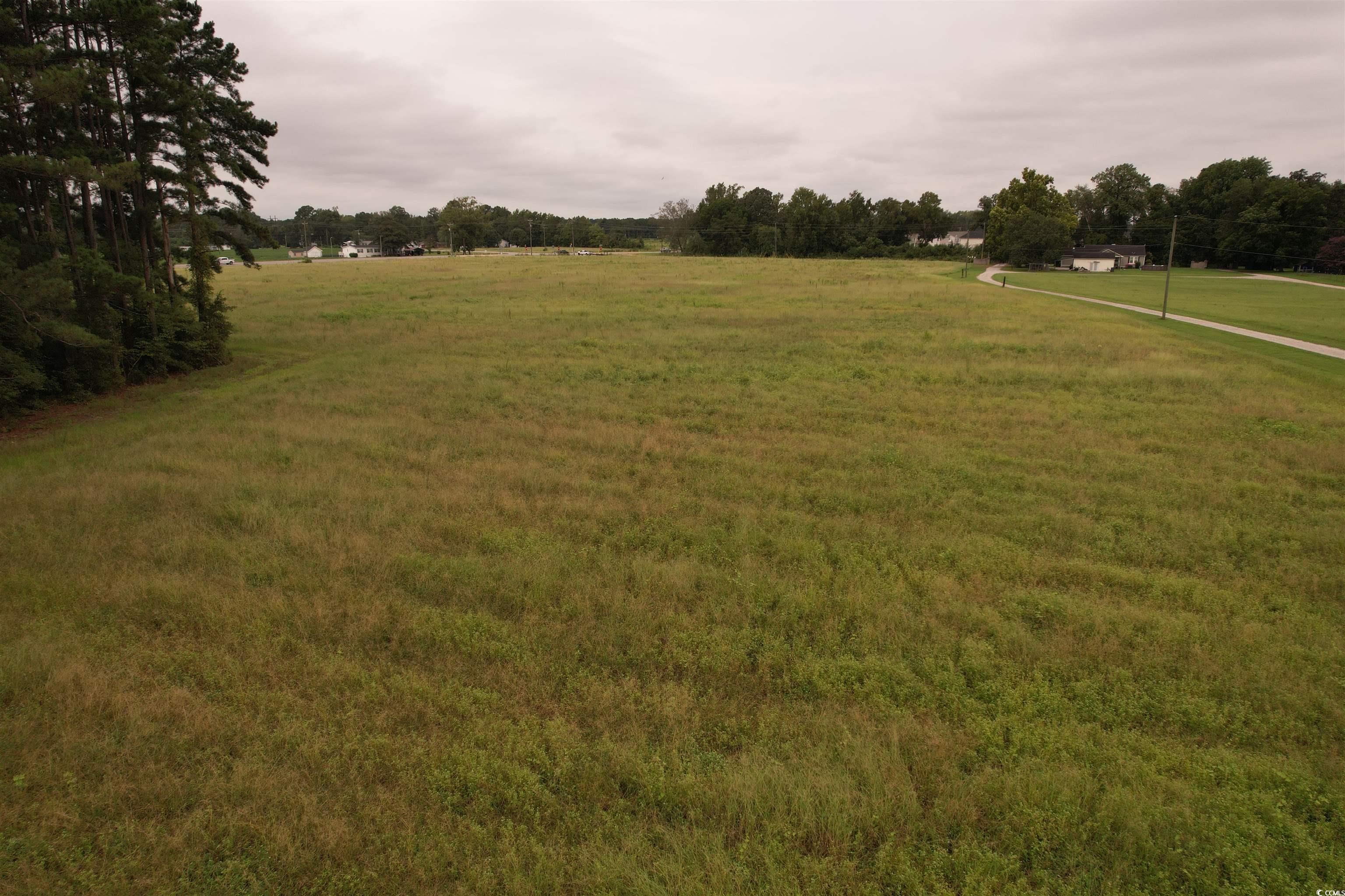 6.54-acres-tbd Alligator Road Florence, SC 29501 - Photo 9 of 13