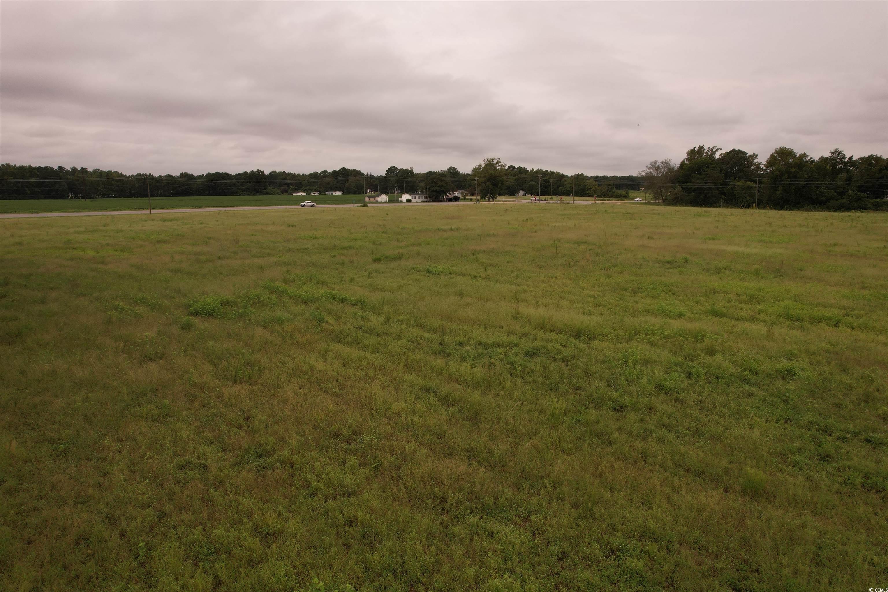 6.54-acres-tbd Alligator Road Florence, SC 29501 - Photo 10 of 13