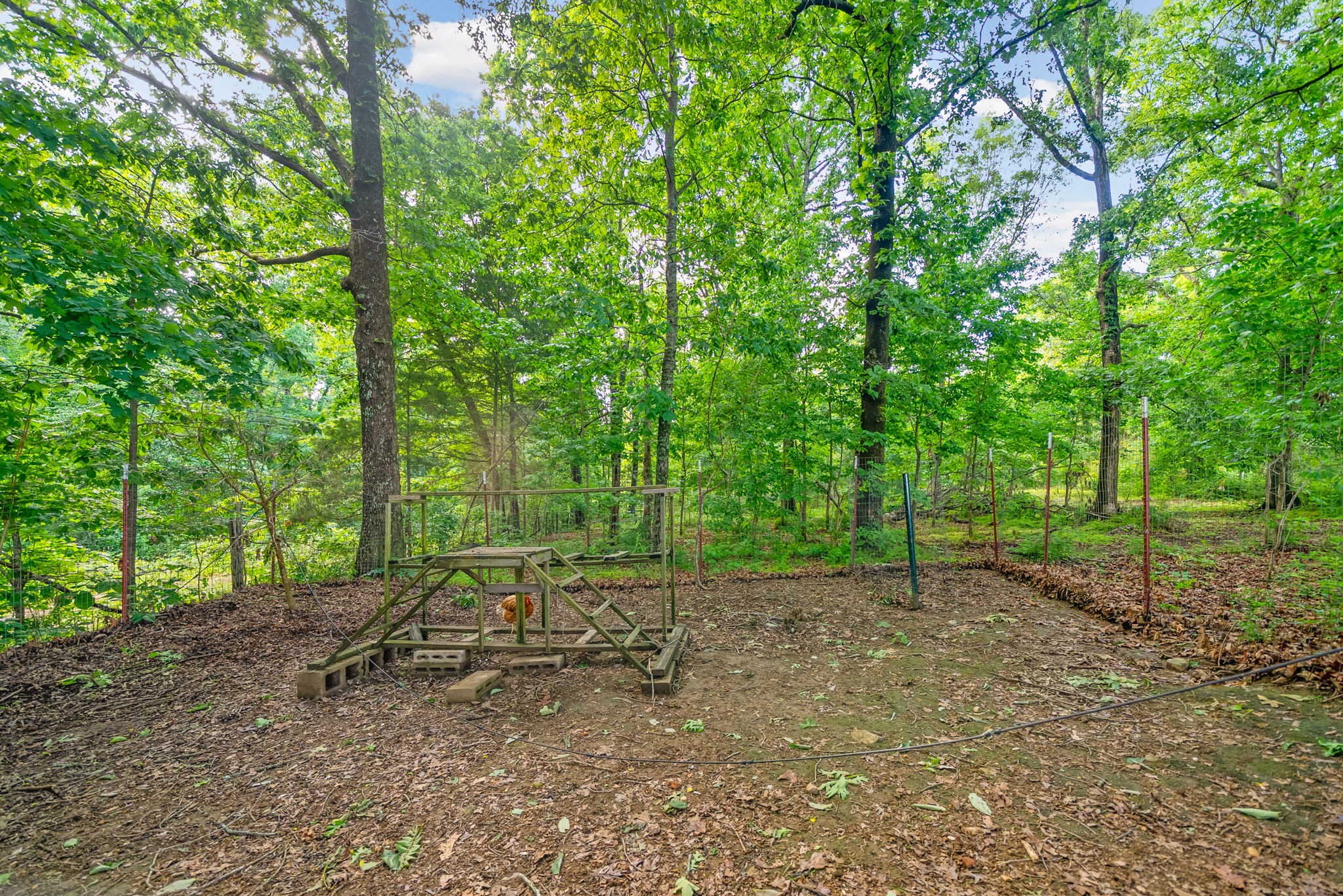 317 Alonzo Place Cunningham, TN 37052 - Photo 46 of 55