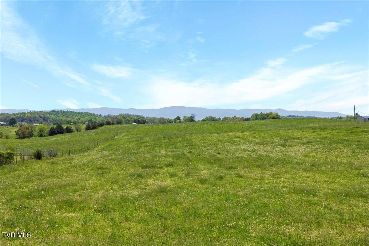 9135 Old Stage Road Limestone, TN 37681 - Photo 7 of 28 07-128A3227
