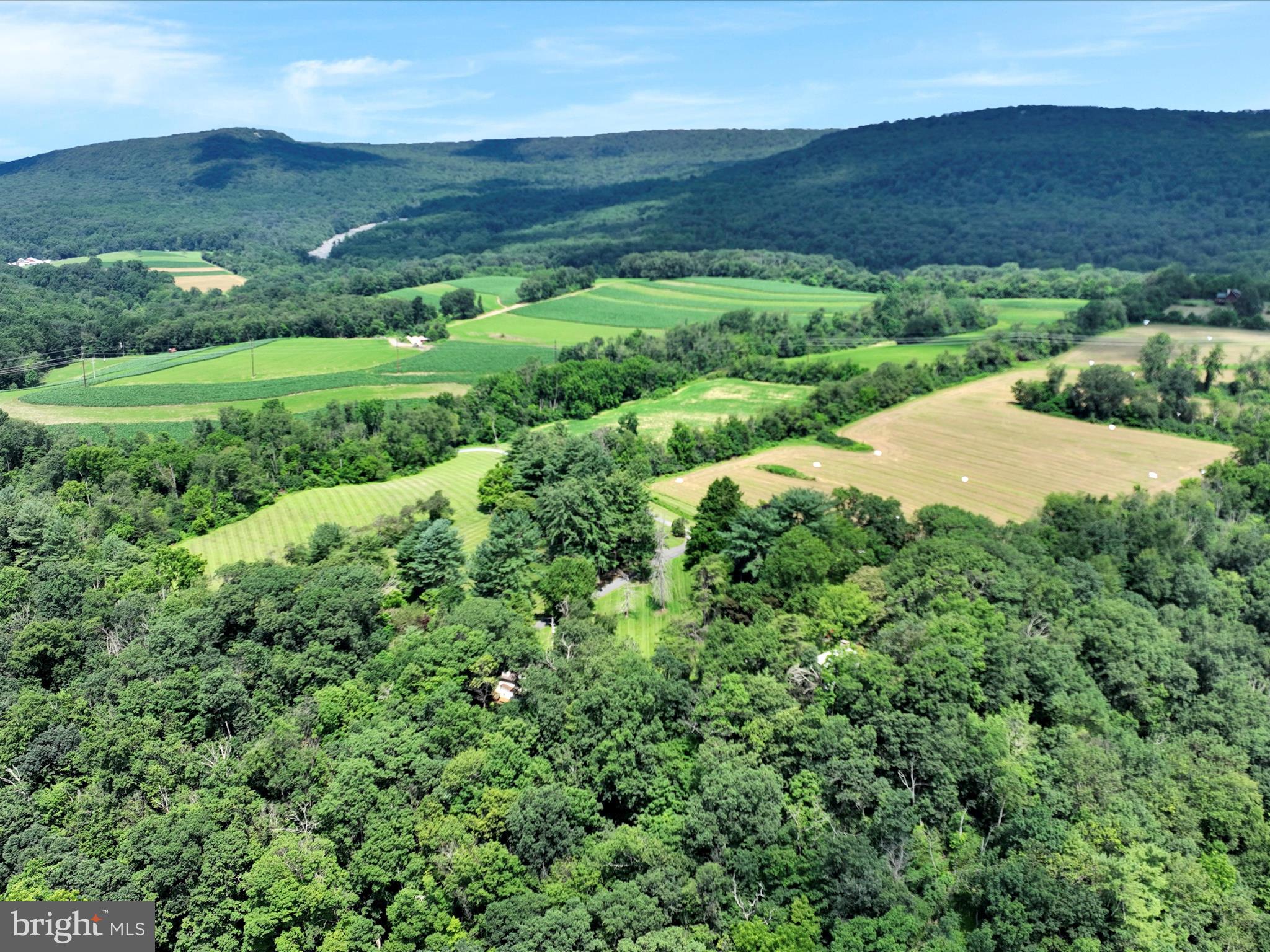 21 Blue Rocks Road Lenhartsville, PA 19534 - Photo 44 of 48 a view of a back yard