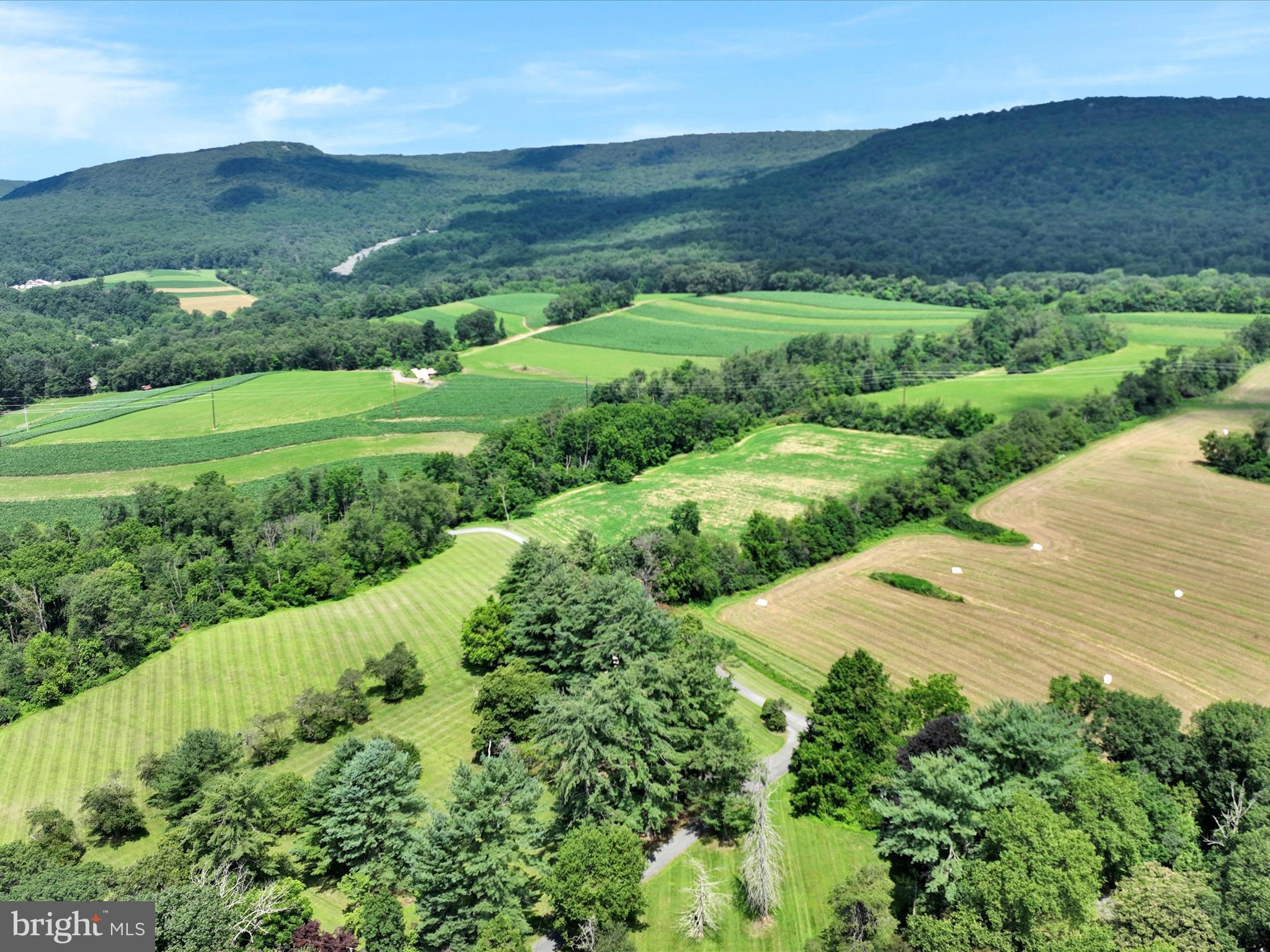 21 Blue Rocks Road Lenhartsville, PA 19534 - Photo 45 of 48 a view of a back yard