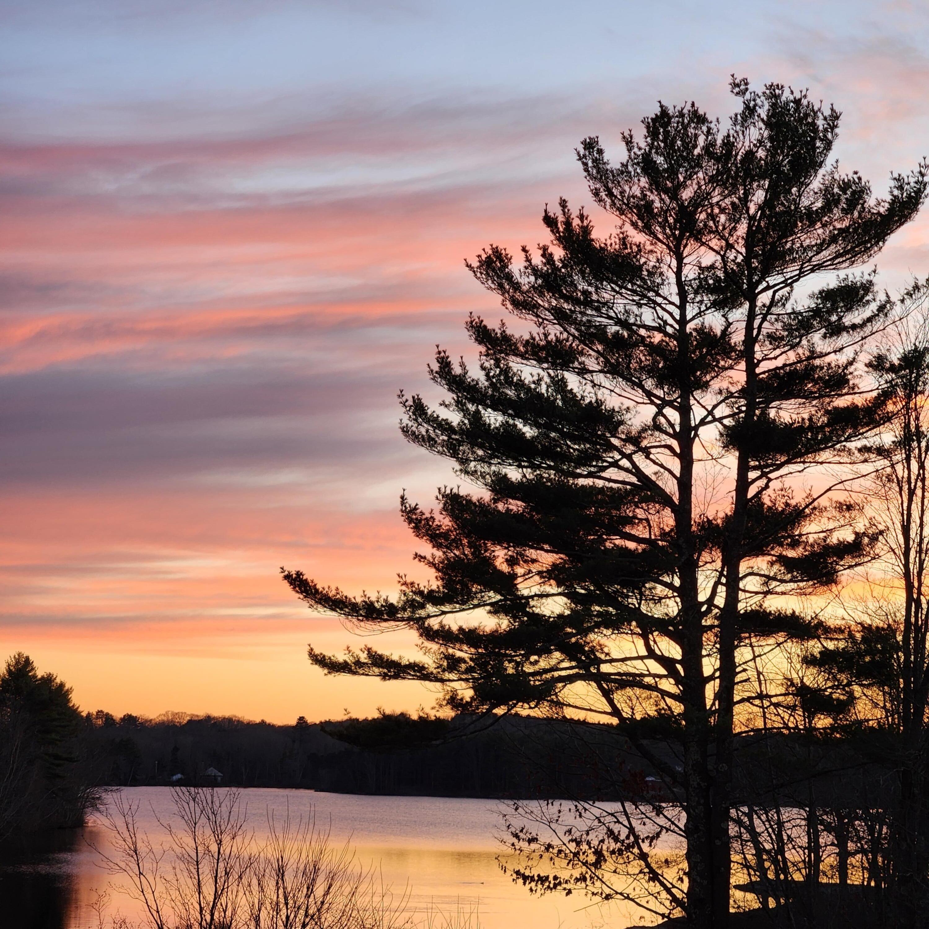 693 Wiscasset Road Boothbay, ME 04537 - Photo 40 of 40 Sunset Pine