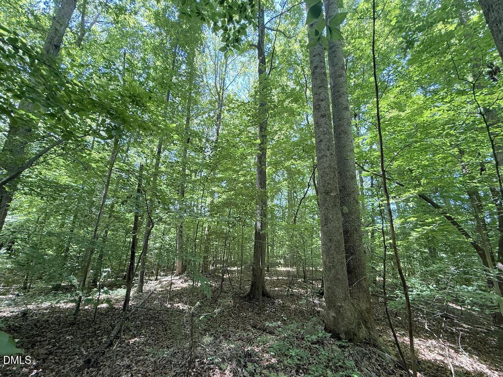 0 Buttonwood Lane Roxboro, NC 27574 - Photo 22 of 36