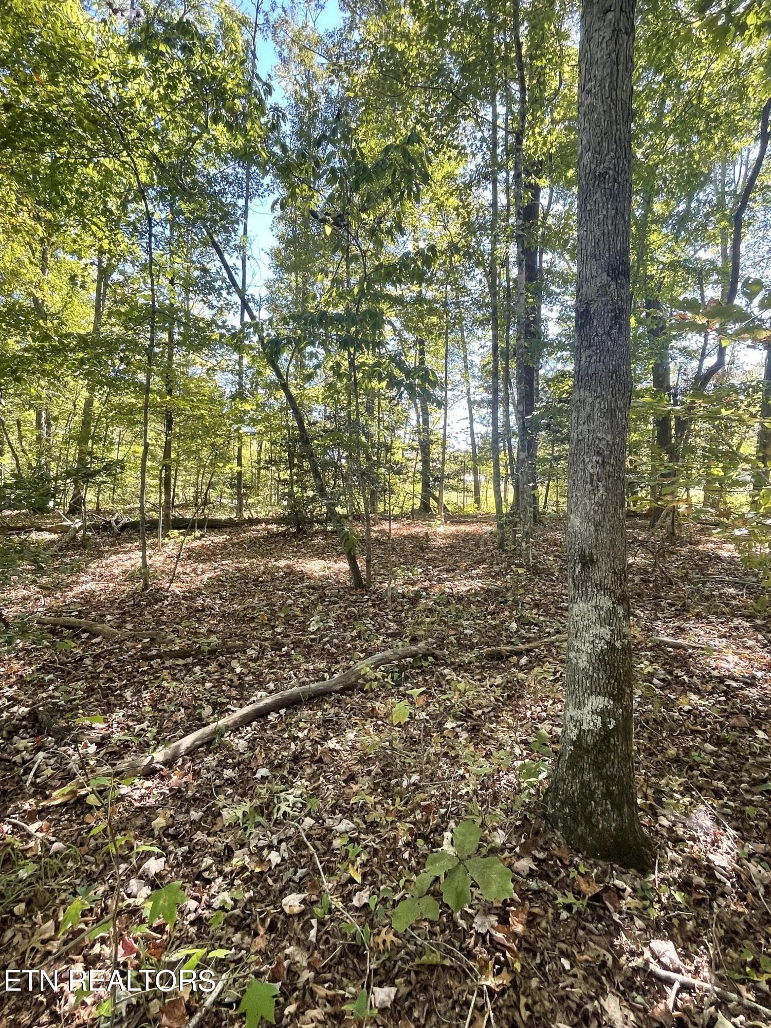 0 Charlie Newberry Road Lancing, TN 37770 - Photo 21 of 31 a view of outdoor space and yard
