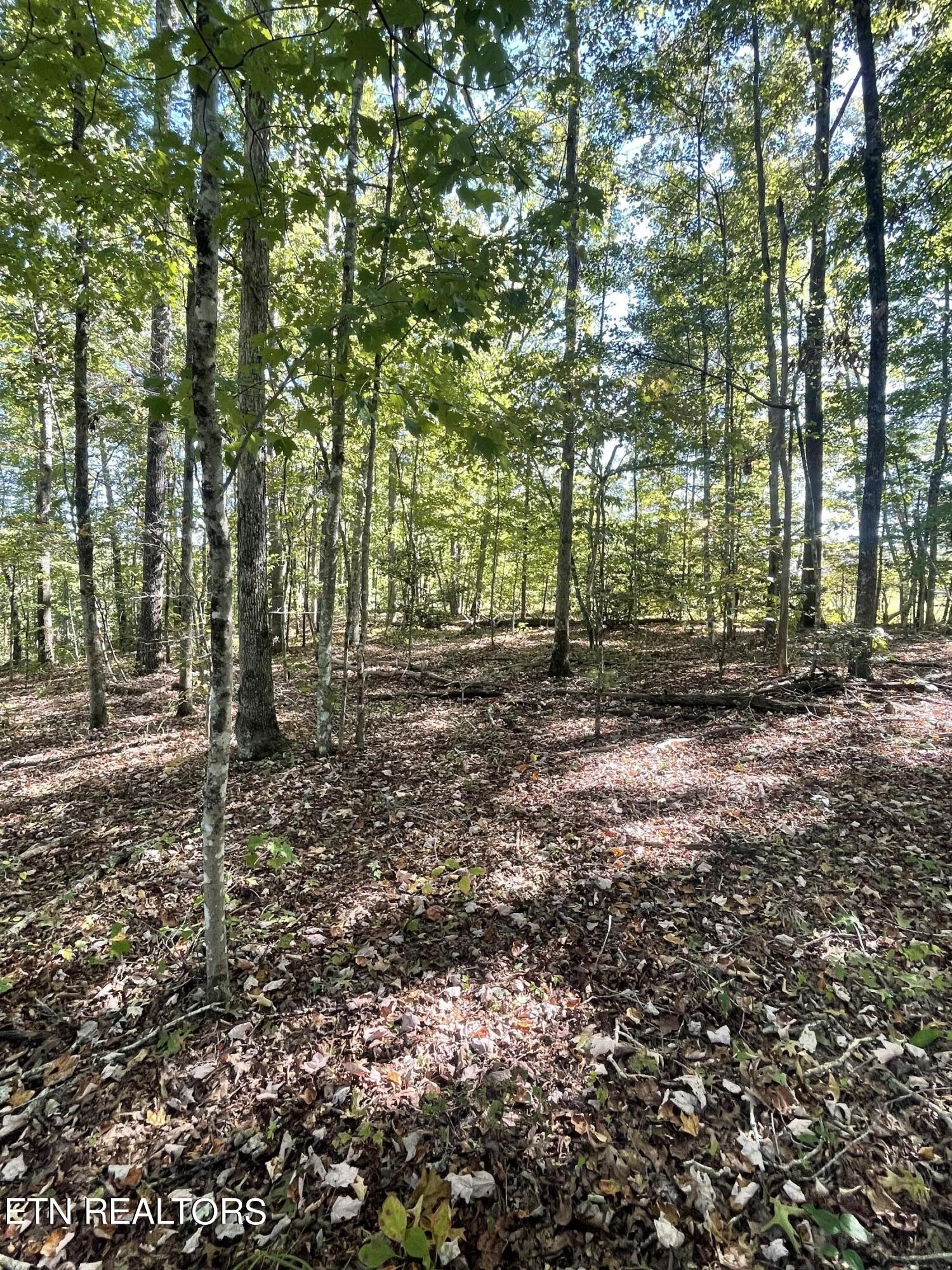 0 Charlie Newberry Road Lancing, TN 37770 - Photo 24 of 31 a view of outdoor space and yard