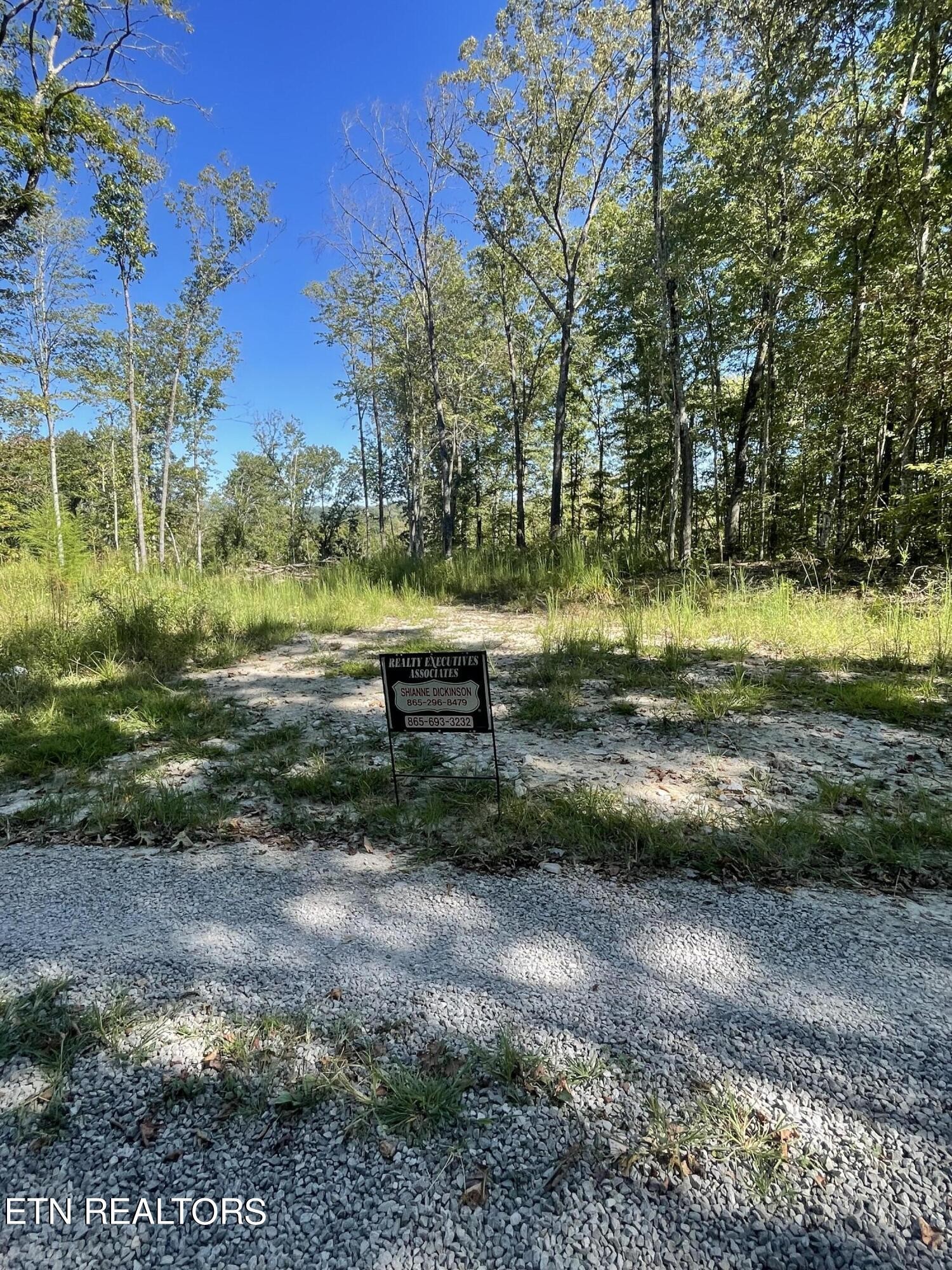 0 Charlie Newberry Road Lancing, TN 37770 - Photo 3 of 31 a view of a park with large trees