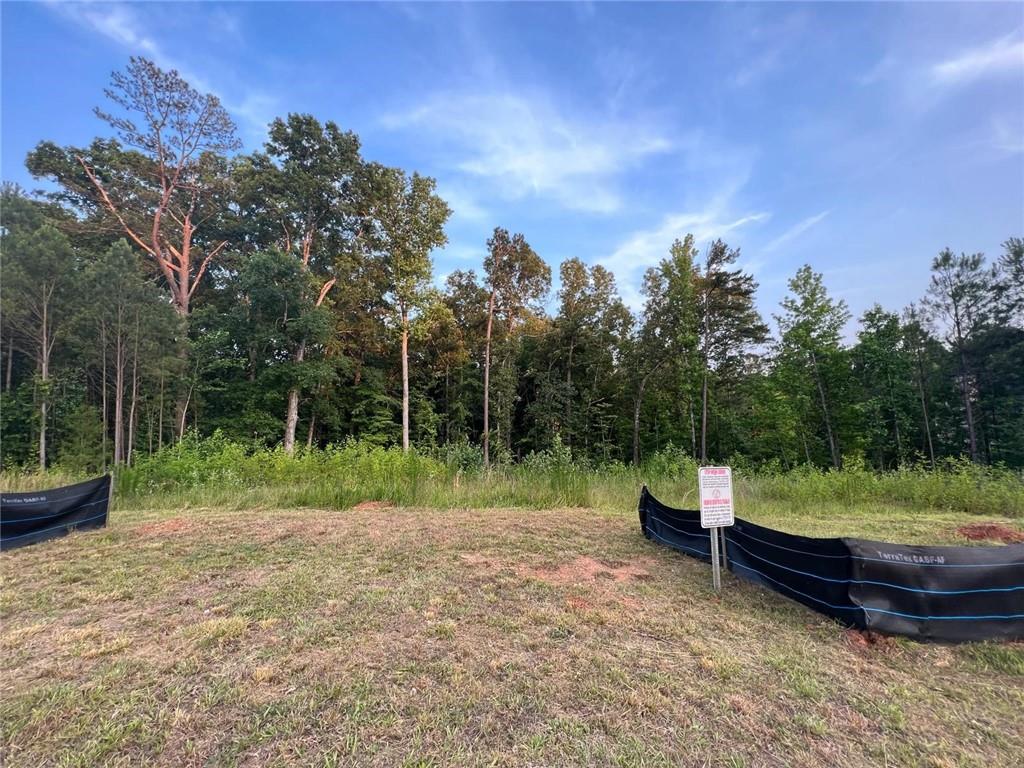2524 Stream View Drive Oxford, GA 30054 - Photo 2 of 5 a backyard of a house with lots of green space and plants