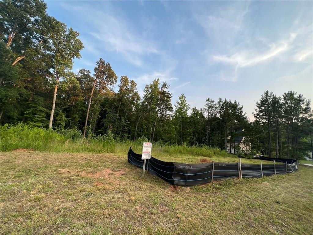 2524 Stream View Drive Oxford, GA 30054 - Photo 3 of 5 a view of a swimming pool with a yard