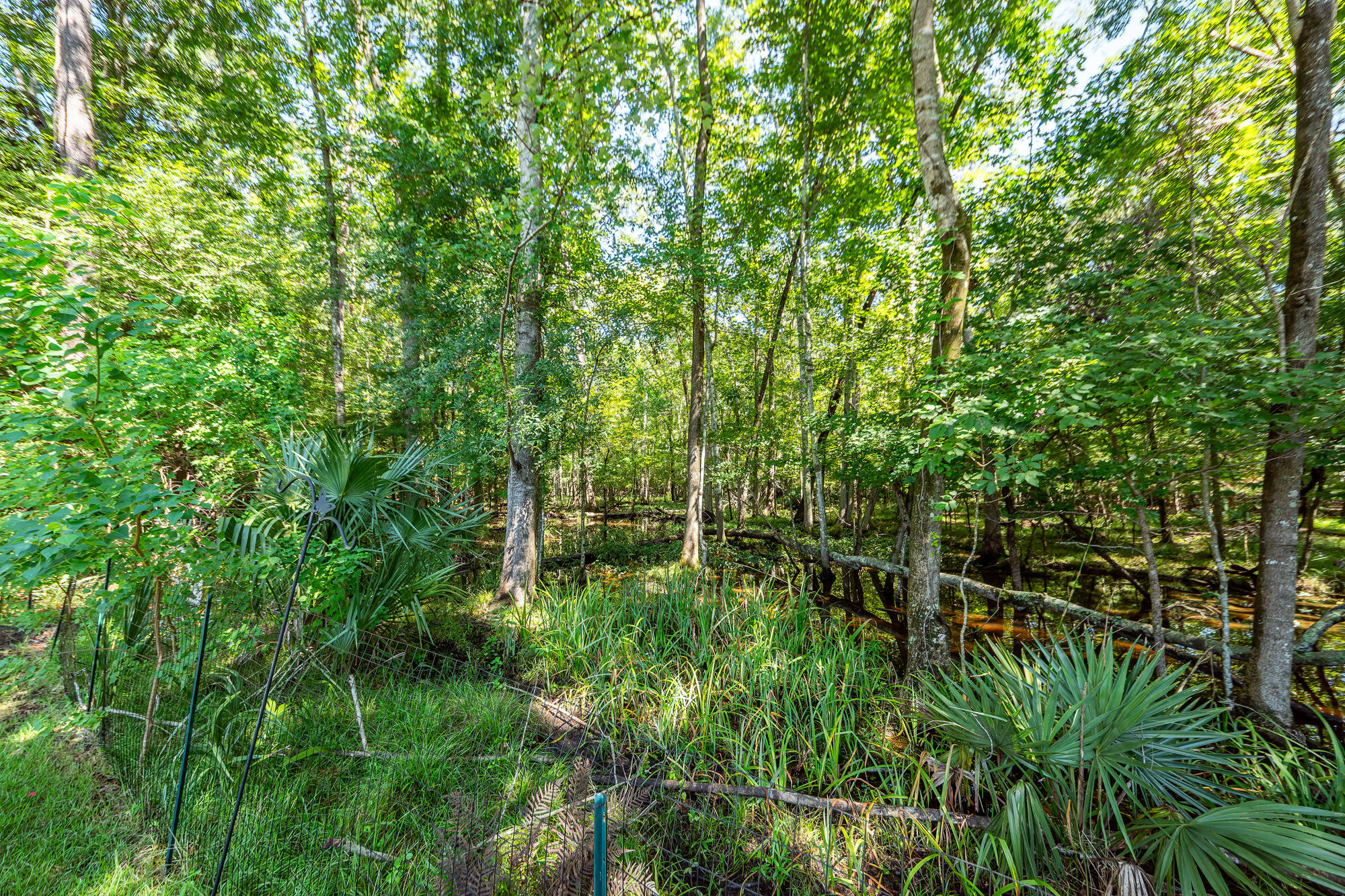 136 Oakbluff Road Summerville, SC 29485 - Photo 69 of 76 57