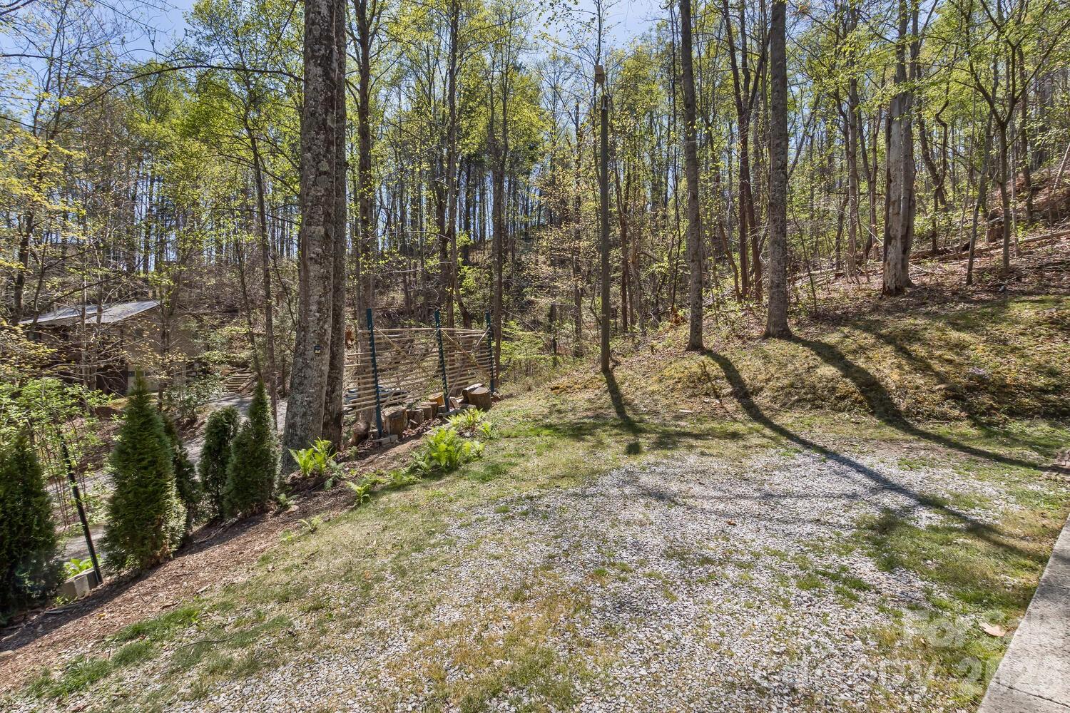 53 Benfield Road Weaverville, NC 28787 - Photo 38 of 46