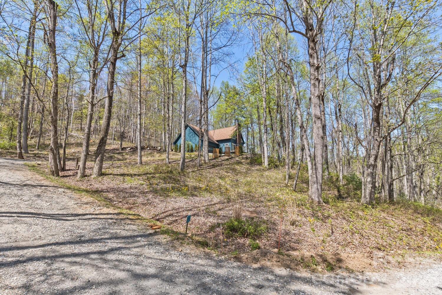 53 Benfield Road Weaverville, NC 28787 - Photo 42 of 46