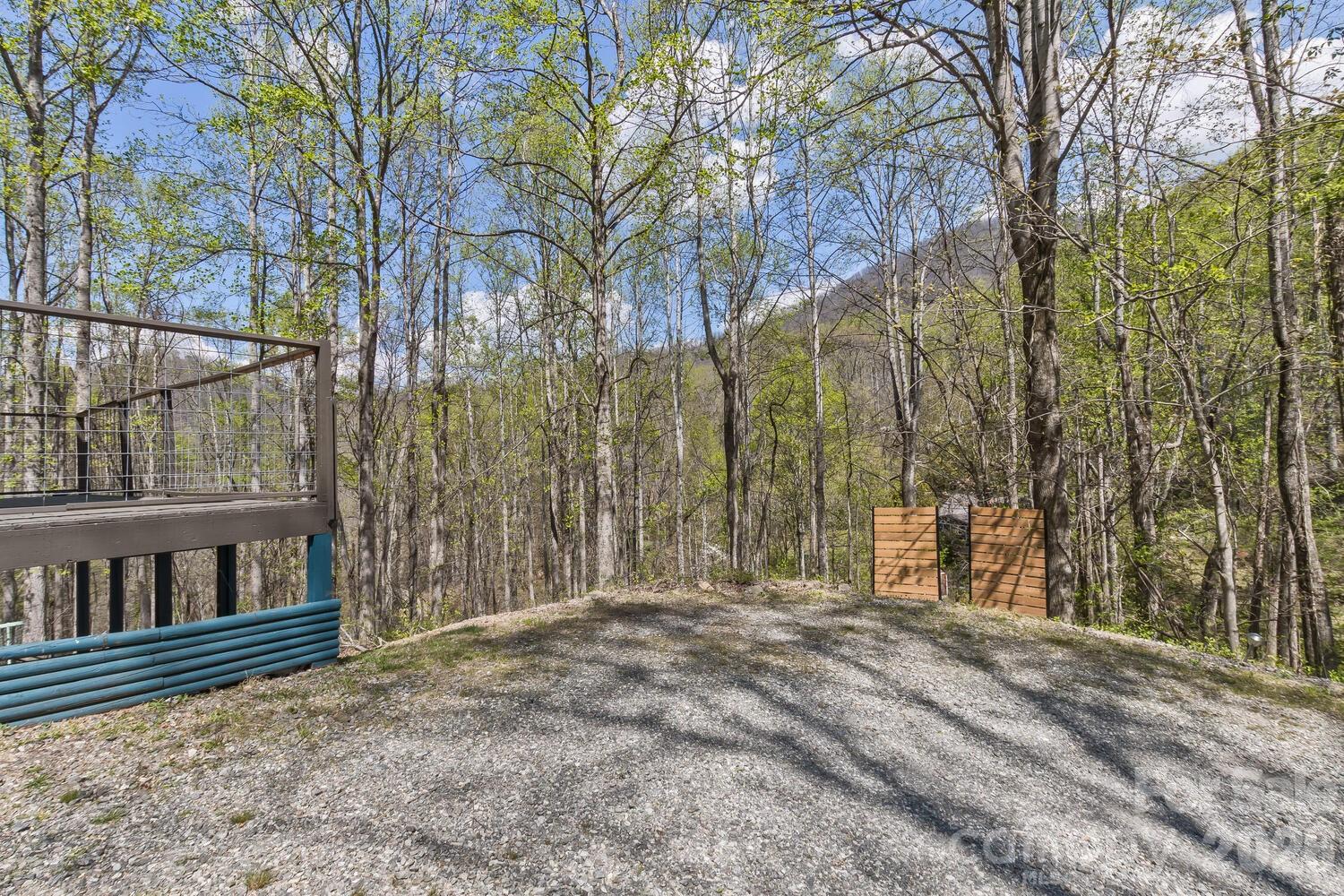 53 Benfield Road Weaverville, NC 28787 - Photo 43 of 46