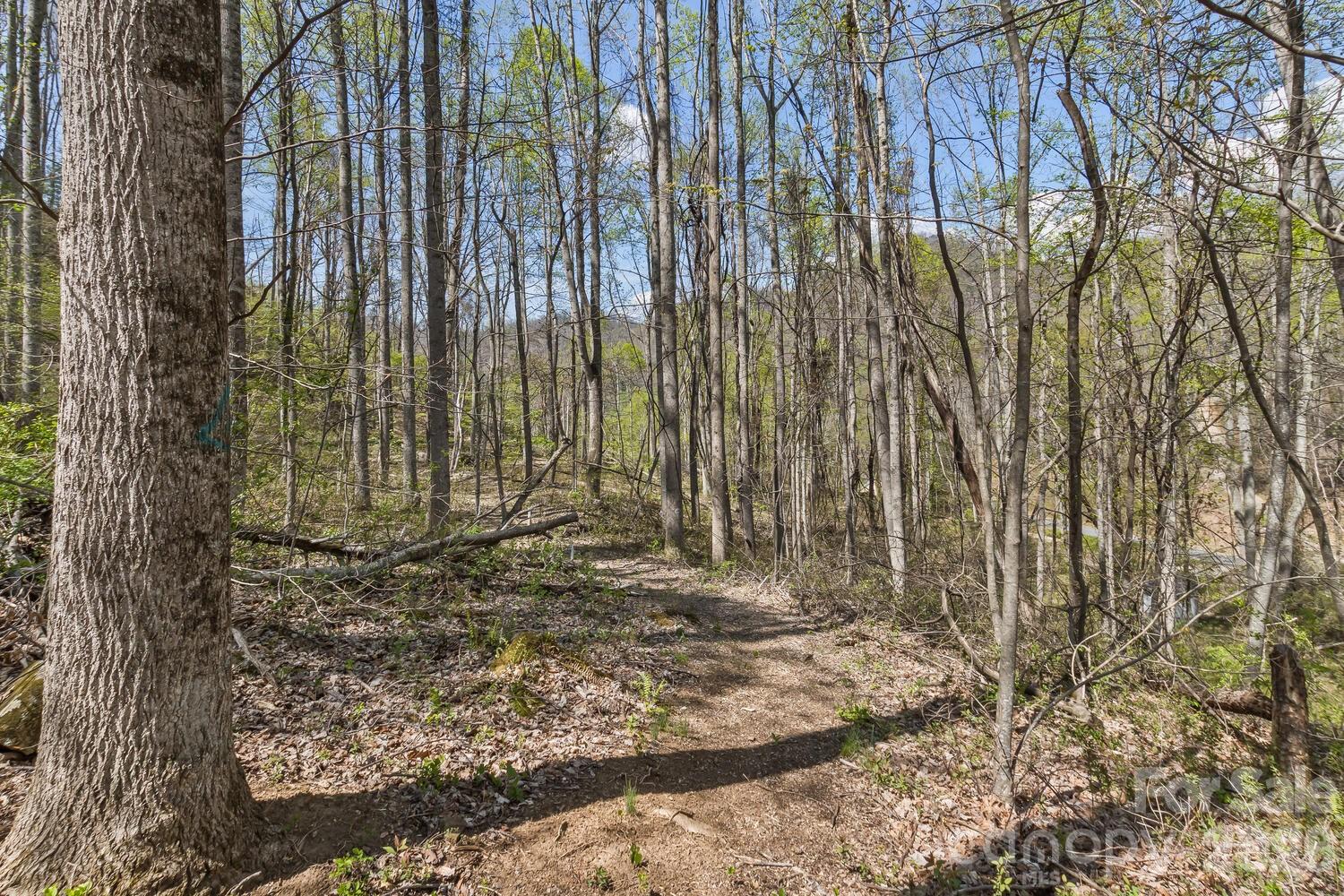 53 Benfield Road Weaverville, NC 28787 - Photo 44 of 46