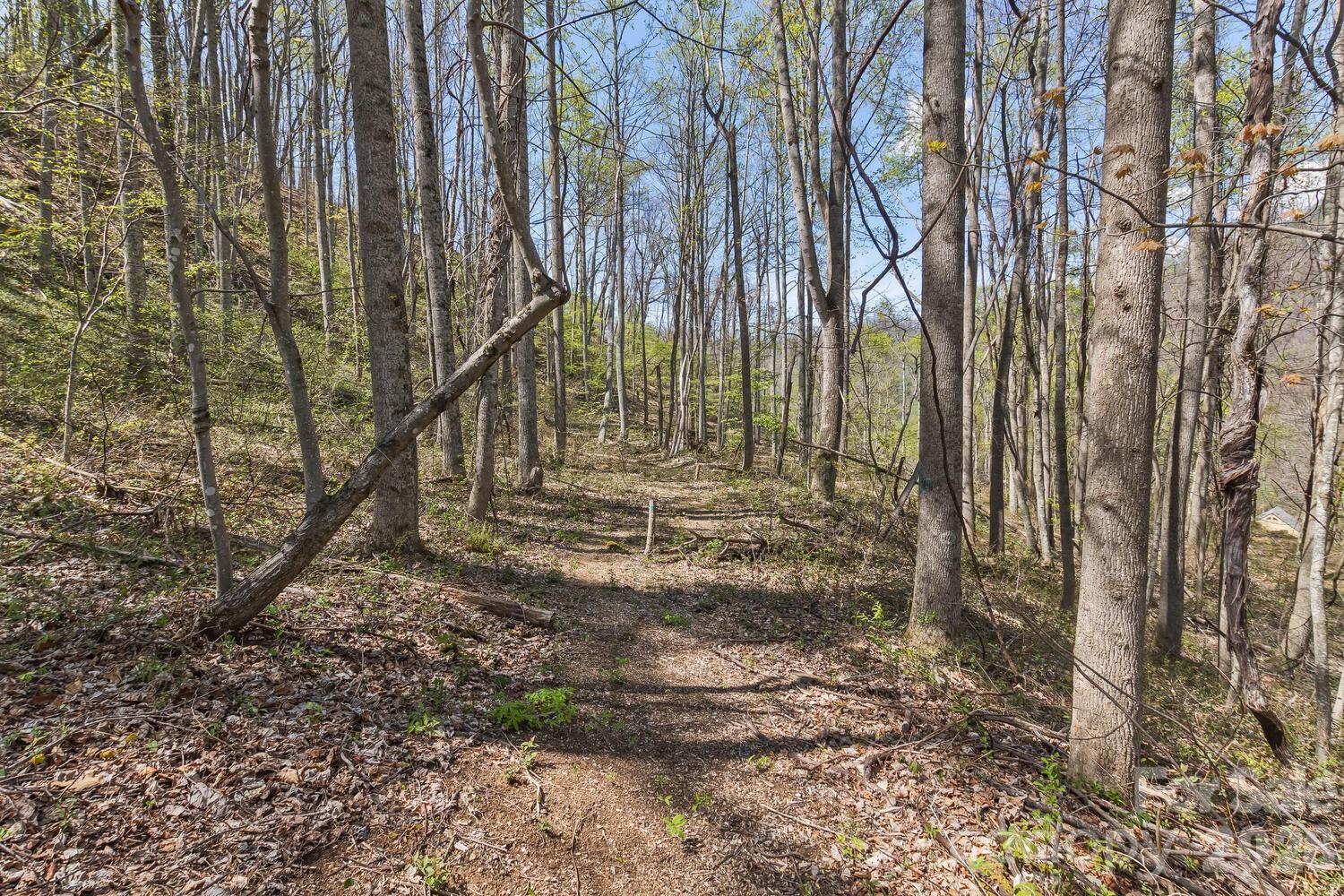 53 Benfield Road Weaverville, NC 28787 - Photo 45 of 46