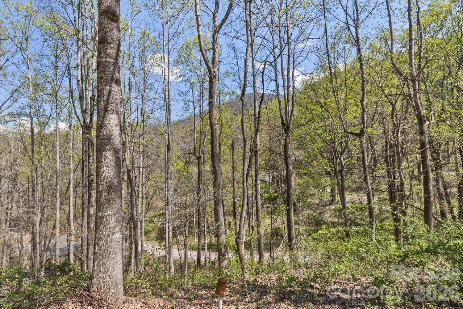53 Benfield Road Weaverville, NC 28787 - Photo 46 of 46