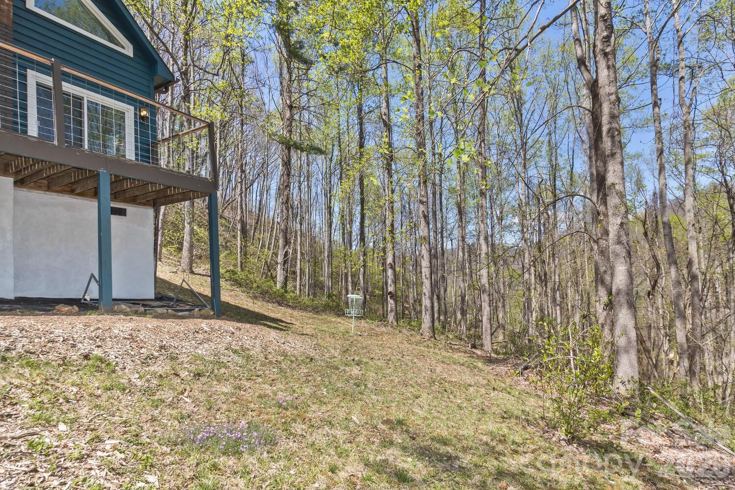 53 Benfield Road Weaverville, NC 28787 - Photo 6 of 46