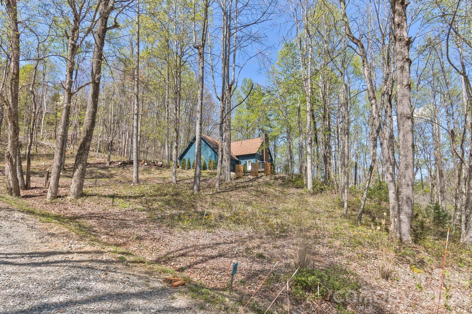 53 Benfield Road Weaverville, NC 28787 - Photo 7 of 46