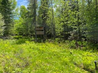 254 Eaton Road Exeter, ME 04435 - Photo 41 of 49 IMG_7638