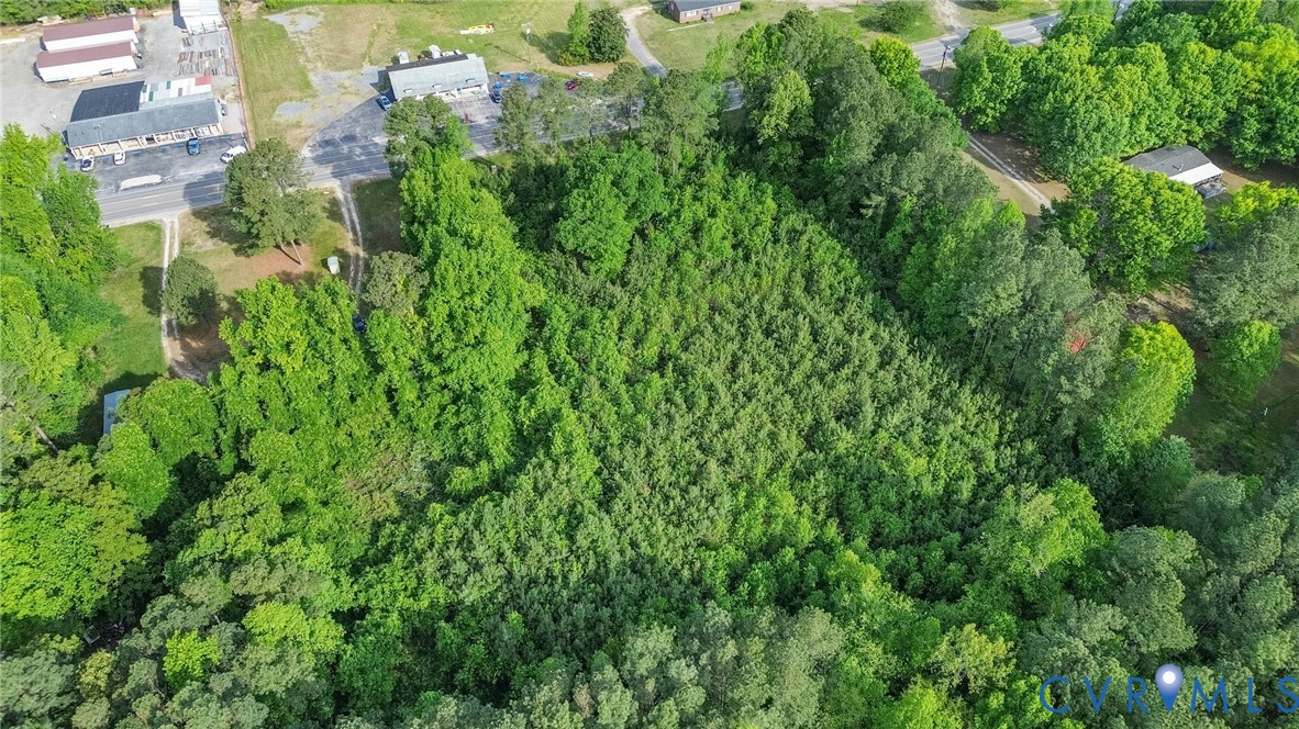 Tbd Boydton Plank Road Dinwiddie, VA 23841 - Photo 5 of 9 a view of a lush green forest with houses