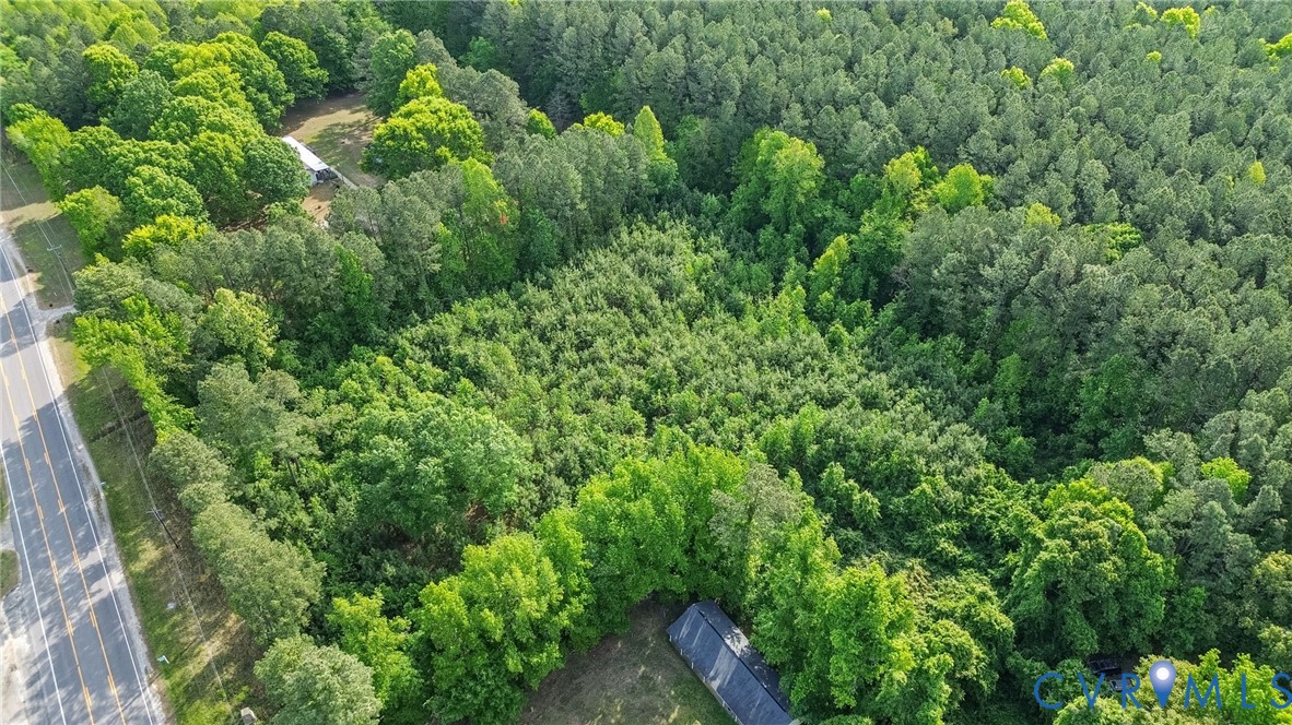 Tbd Boydton Plank Road Dinwiddie, VA 23841 - Photo 6 of 9 a view of a lush green forest