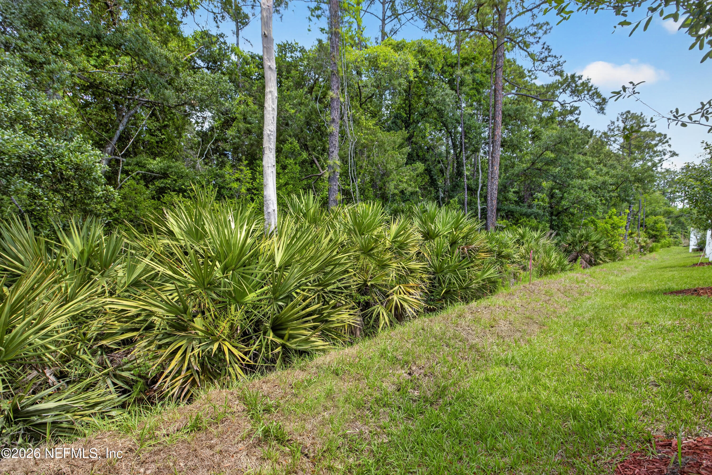 161 Palmetto Rdg Road St. Augustine, FL 32095 - Photo 32 of 32 D4R59450