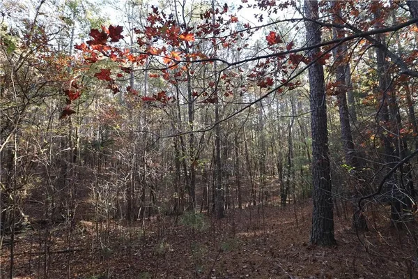 $295,000 | 0 Raccoon Trail, Elberton, GA 30635