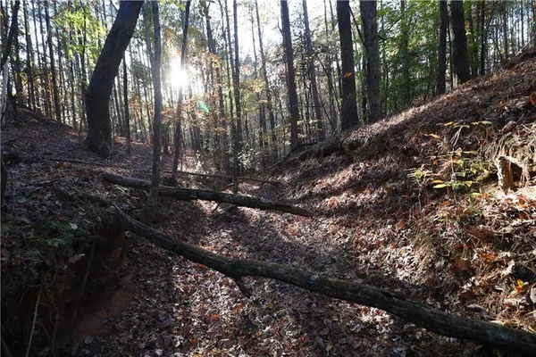$295,000 | 0 Raccoon Trail, Elberton, GA 30635