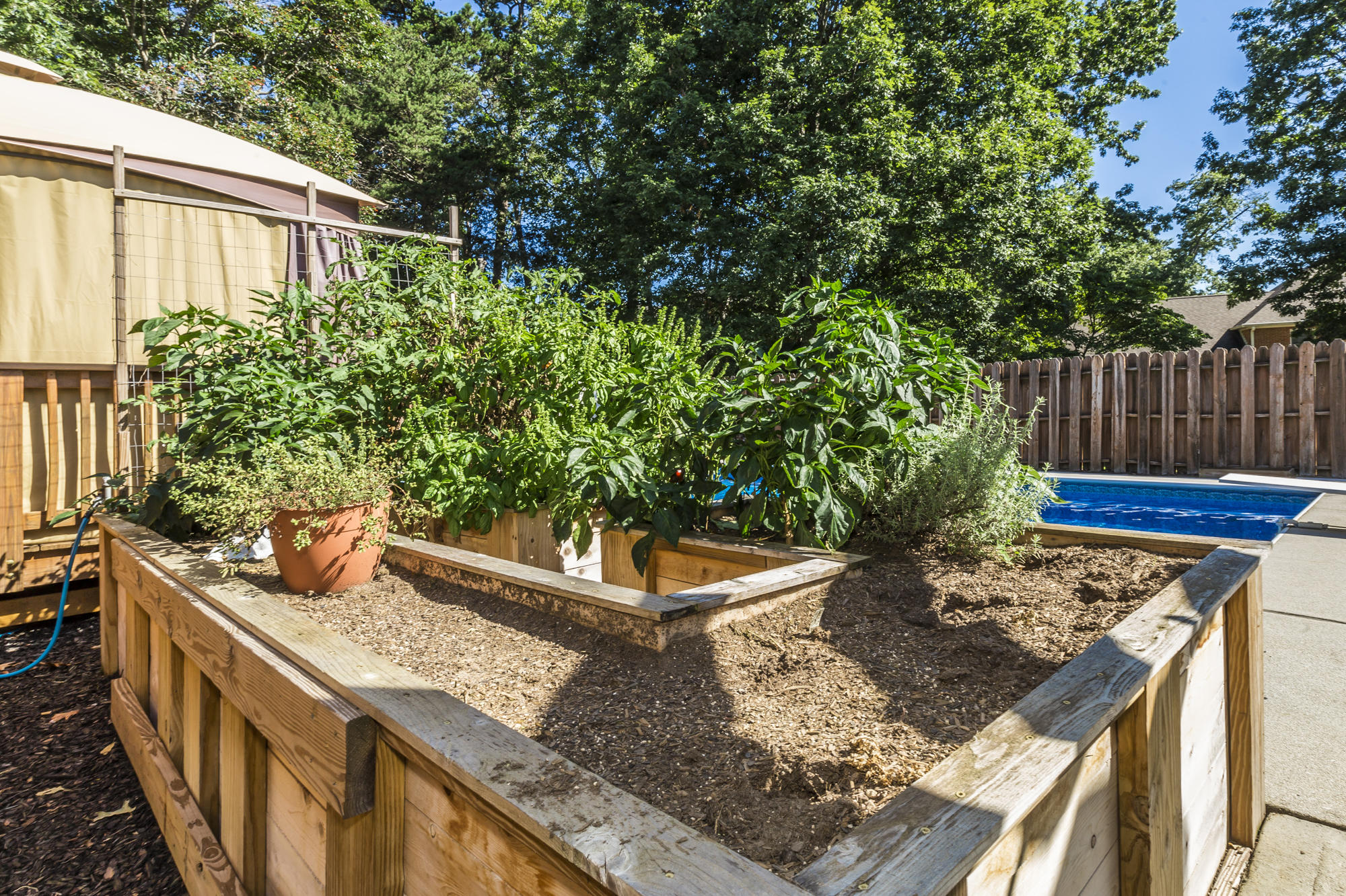 244 Geronimo Road Knoxville, TN 37934 - Photo 8 of 11 Raised Garden Beds