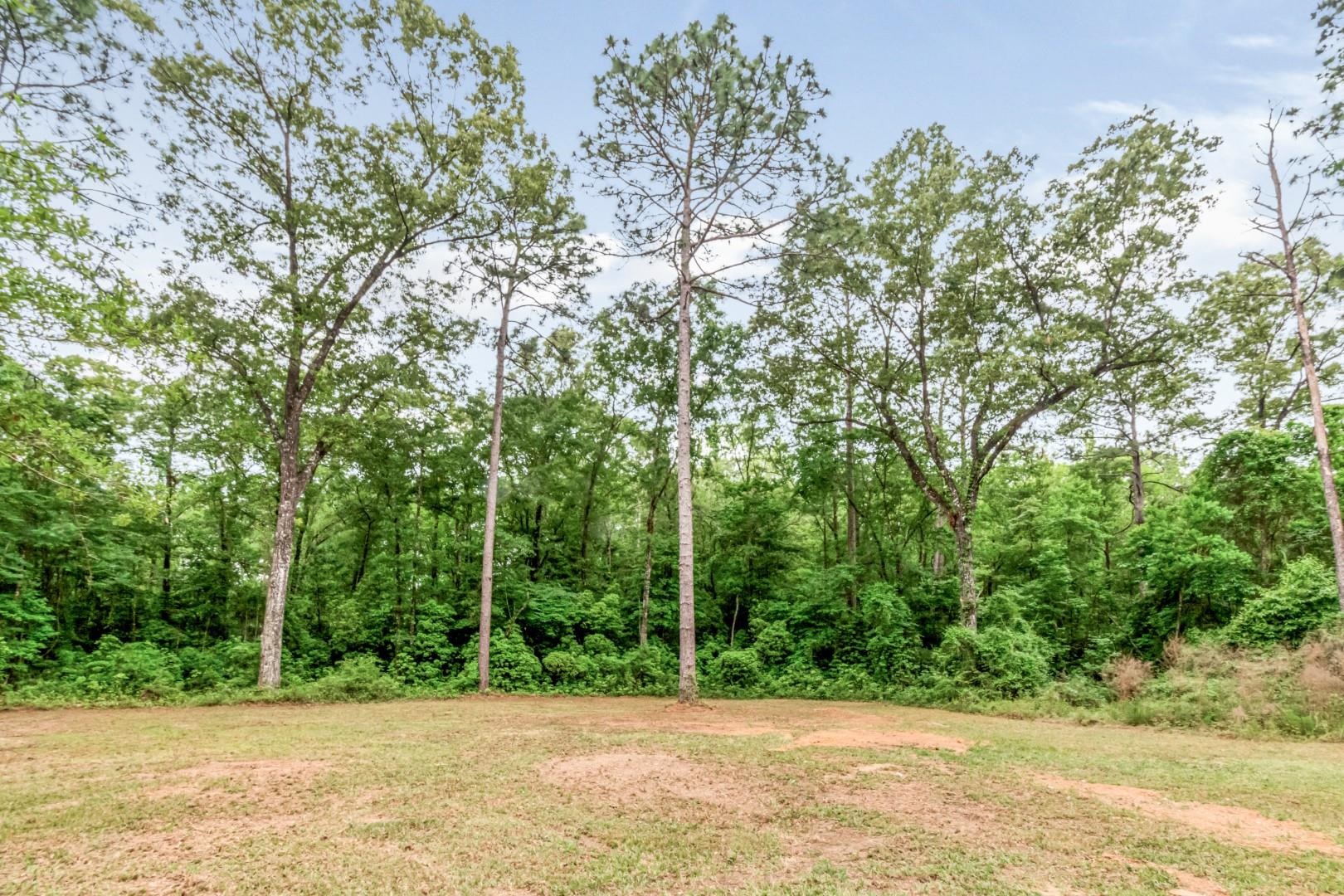 15824 Pine Grove Rd Extension Bay Minette, AL 36507 - Photo 29 of 32