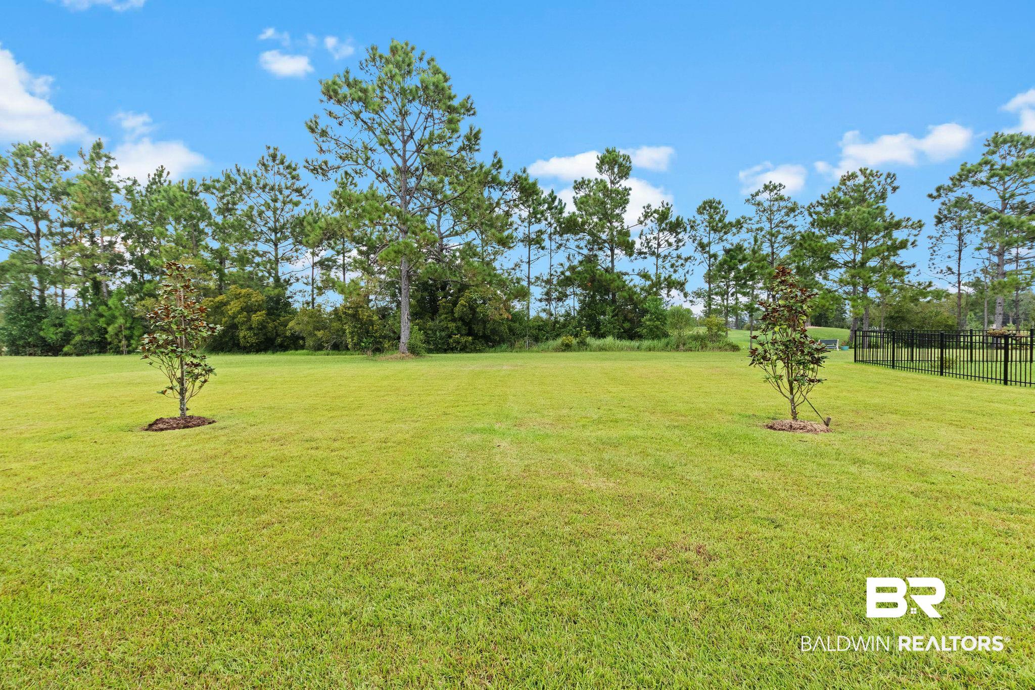9815 Lakeview Drive Foley, AL 36535 - Photo 77 of 100 View of yard