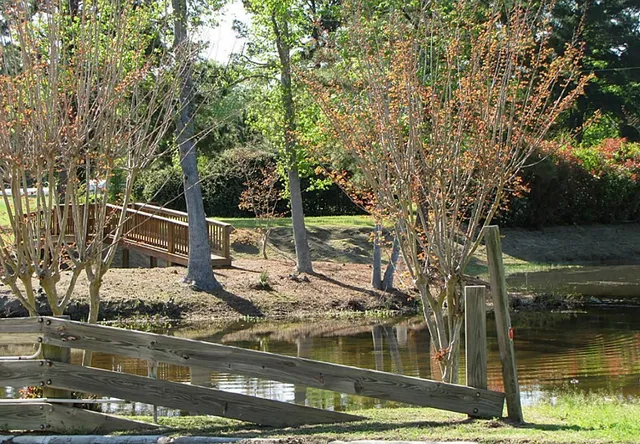 a view of a two chairs in the garden