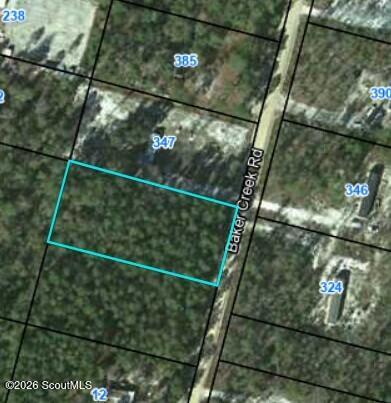 0 Baker Creek Road Nahunta, GA 31553 - Photo 2 of 2