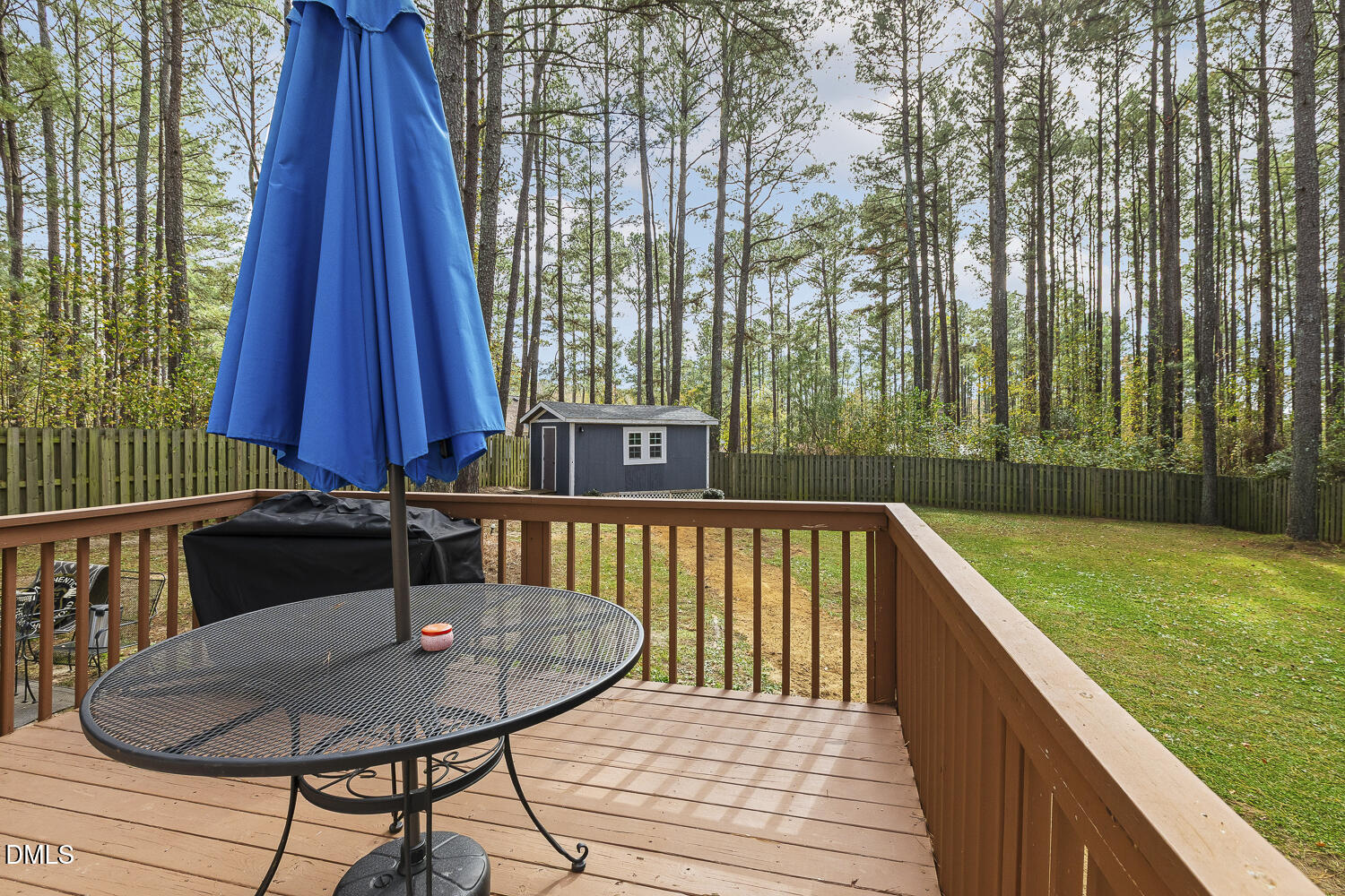 333 Greenleaf Road Angier, NC 27501 - Photo 39 of 42 Backyard